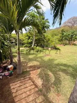Vista 5