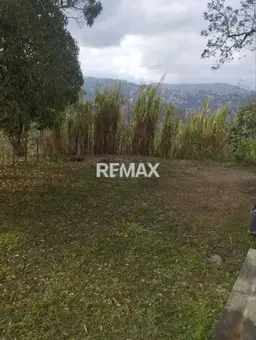Vista 15
