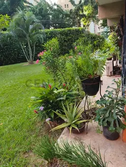 View 17