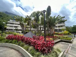 Vista 3