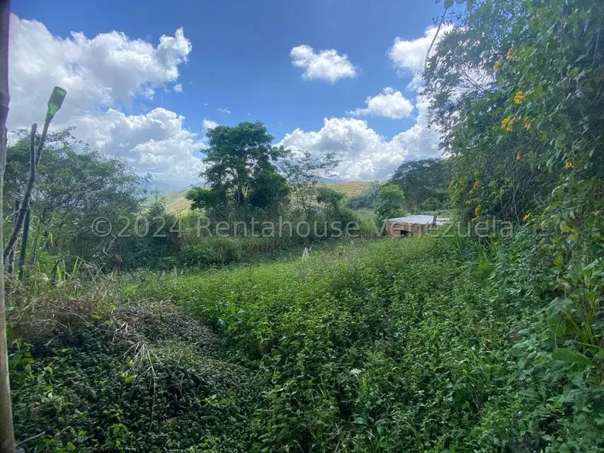 Terreno (Comercial) en Venta en El Hatillo, Distrito Metropolitano - 2