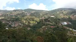 Vista 1