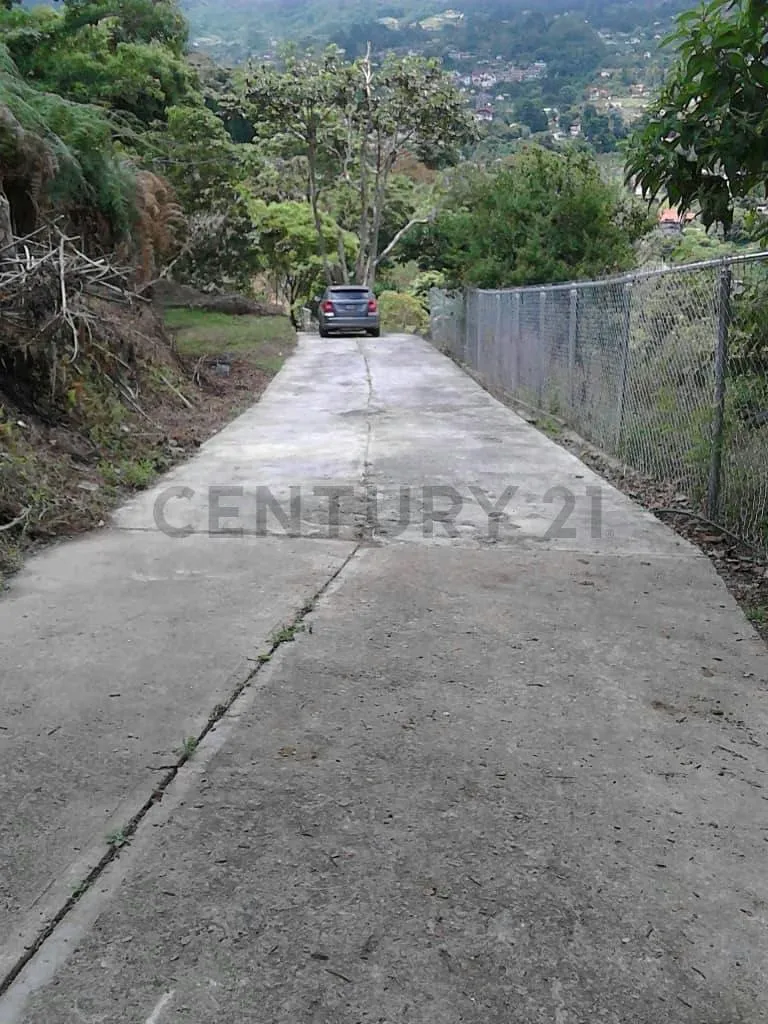Terreno en venta en la Colonia Tovar - 3