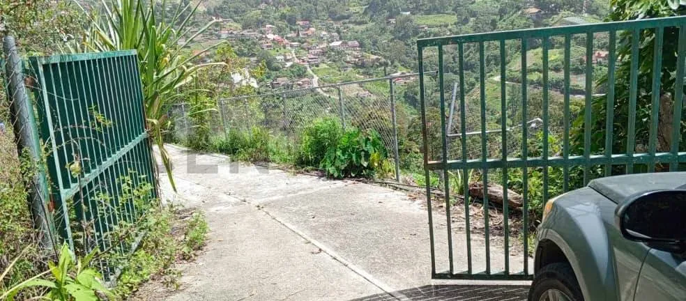 Terreno en venta en la Colonia Tovar - 4