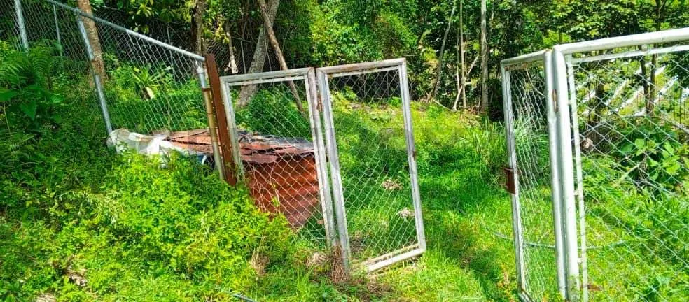 Terreno en venta en la Colonia Tovar - 6