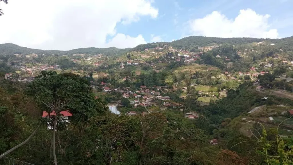Terreno en venta en la Colonia Tovar - 9