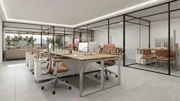 Vista 5