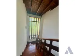 View 15