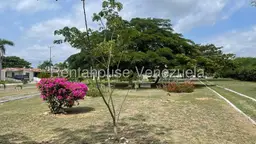 View 32