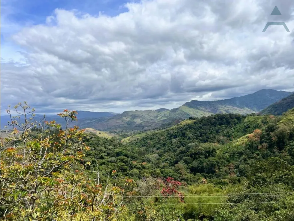Se vende Terreno 134.814m² Sierra Bonita - 9