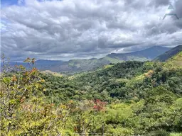 View 10