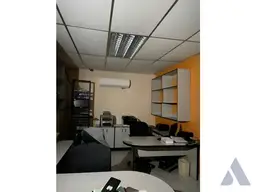 Vista 19