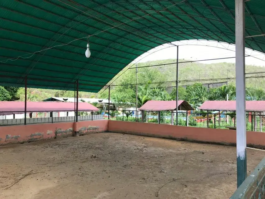 Terreno (Industrial) en Venta en Municipio Peña, Yaracuy - 11