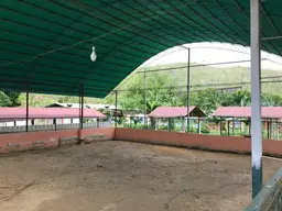 View 11