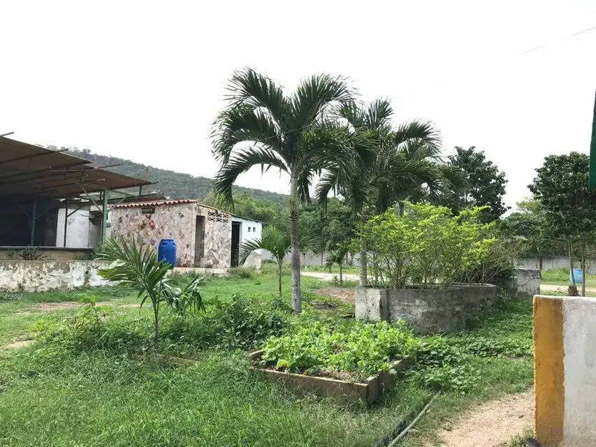 Terreno (Industrial) en Venta en Municipio Peña, Yaracuy - 13