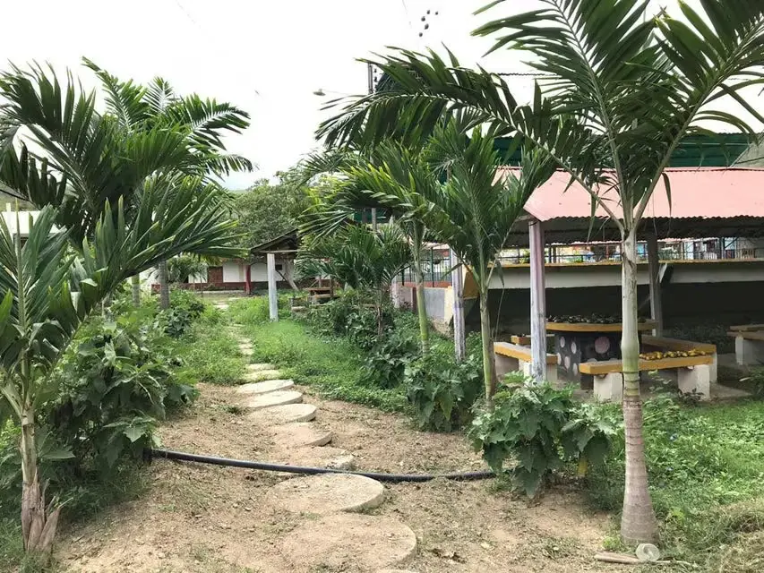 Terreno (Industrial) en Venta en Municipio Peña, Yaracuy - 14