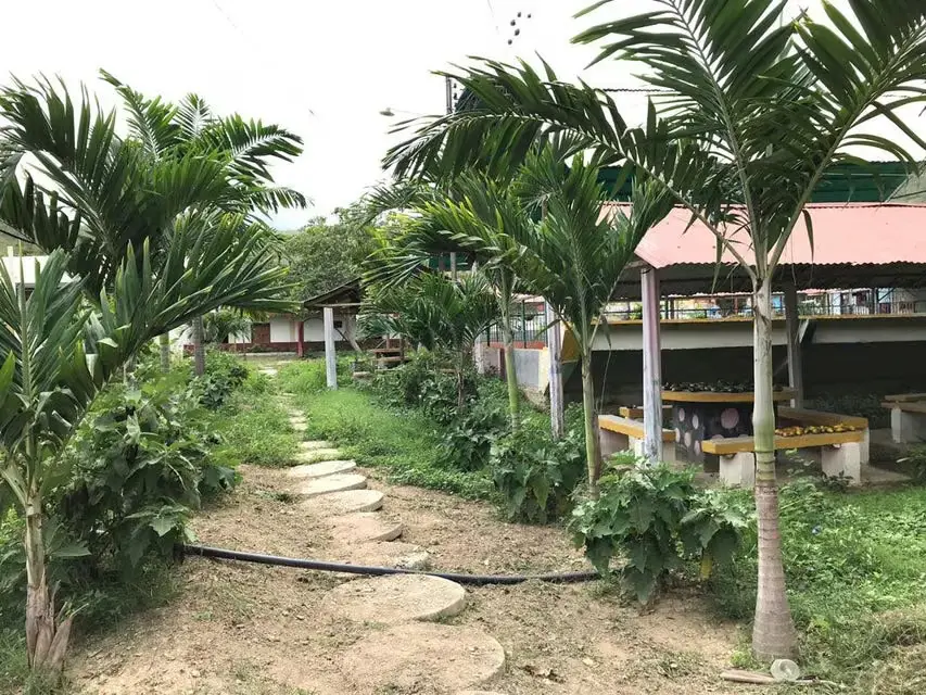 Terreno (Industrial) en Venta en Municipio Peña, Yaracuy - 15