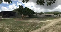View 19