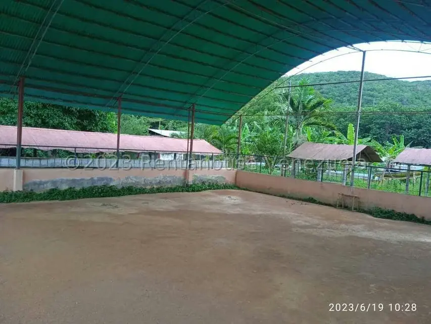 Terreno (Industrial) en Venta en Municipio Peña, Yaracuy - 24
