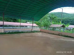 View 24