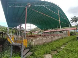 View 32