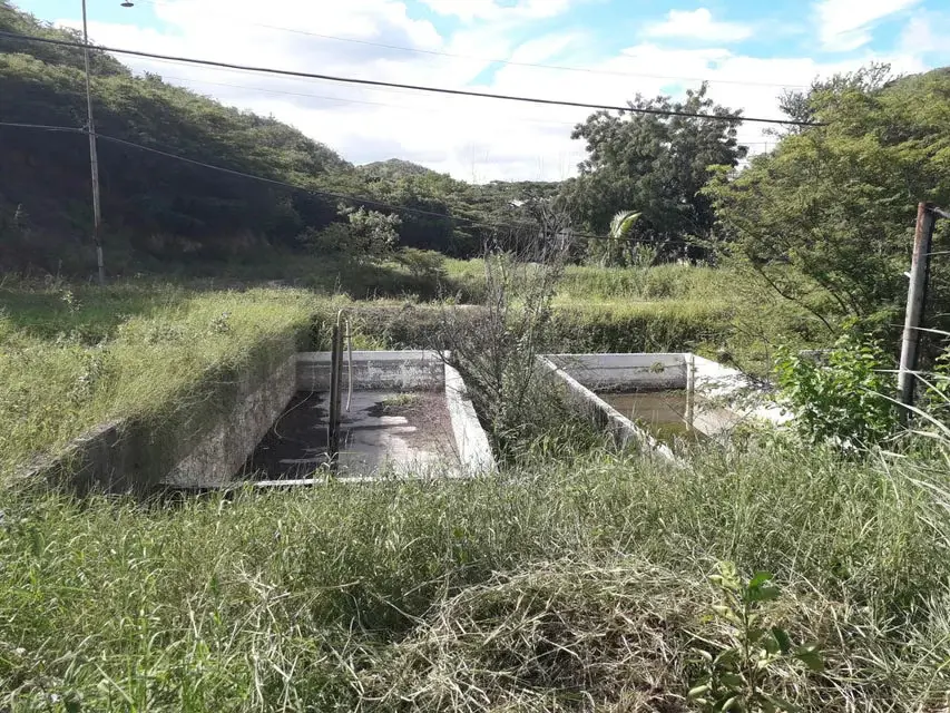 Terreno (Industrial) en Venta en Municipio Peña, Yaracuy - 5