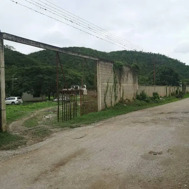 Terreno (Industrial) en Venta en Municipio Peña, Yaracuy - 7