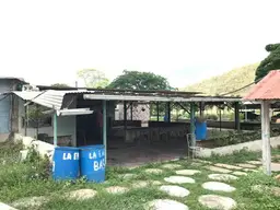View 10
