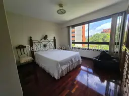 Vista 19