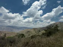 View 11