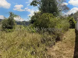 View 12