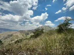 View 14