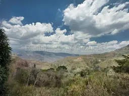 View 15