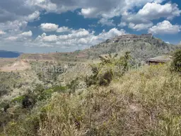 View 16
