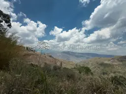View 10