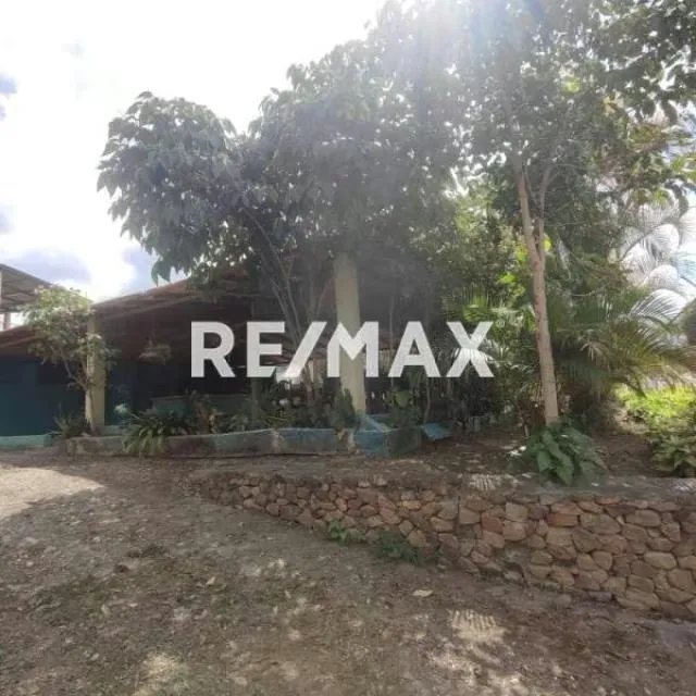EN VENTA TERRENO CON CANEY, IDEAL PARA NEGOCIO TURÍSTICO, UBICADO EN PASO REAL VIA A CUBIRO, MUNICIPIO JIMÉNEZ. - 2
