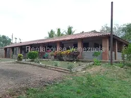 Vista 1