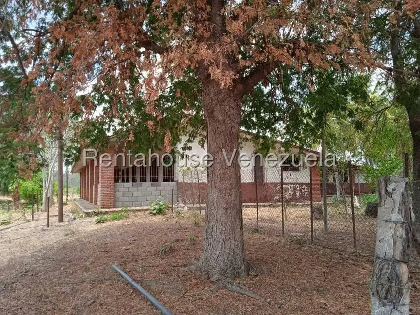 Comercio en Venta en Carretera Caracas-Barbacoa, Aragua - 13