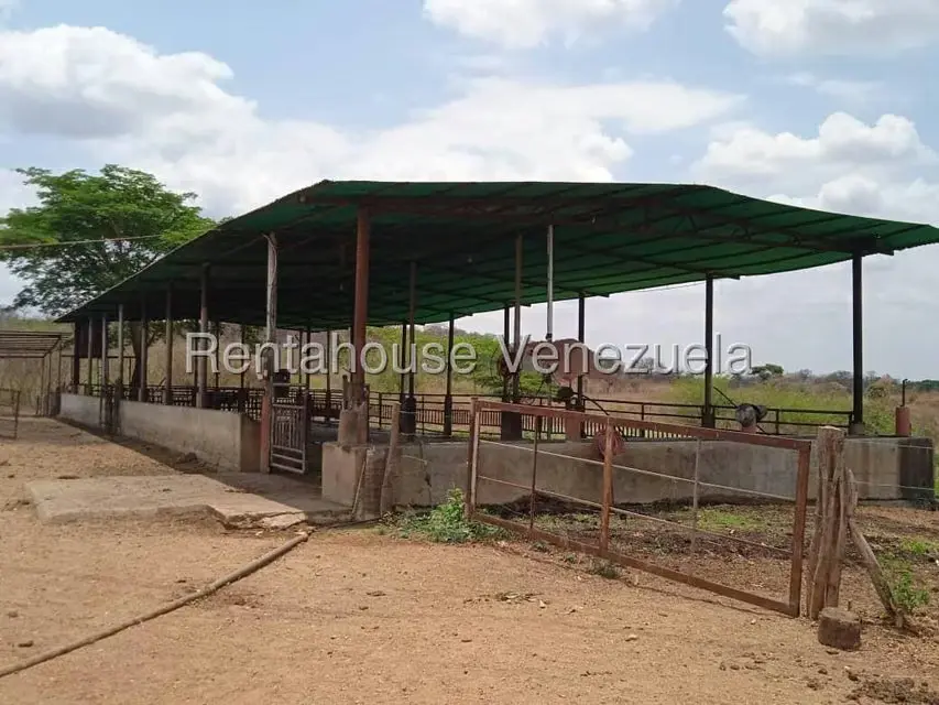 Comercio en Venta en Carretera Caracas-Barbacoa, Aragua - 14