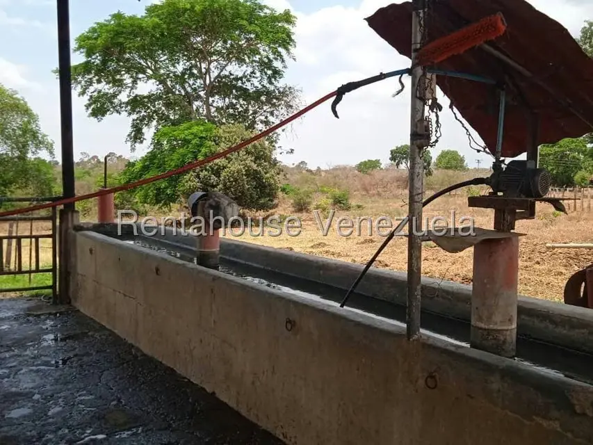 Comercio en Venta en Carretera Caracas-Barbacoa, Aragua - 15