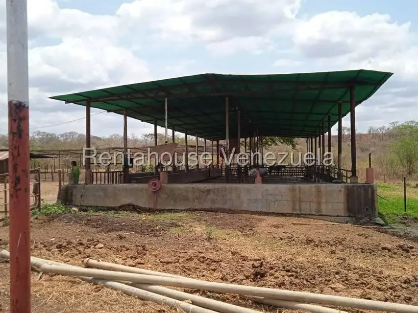 Comercio en Venta en Carretera Caracas-Barbacoa, Aragua - 17