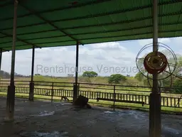 Vista 23