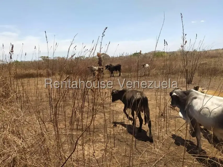 Comercio en Venta en Carretera Caracas-Barbacoa, Aragua - 26