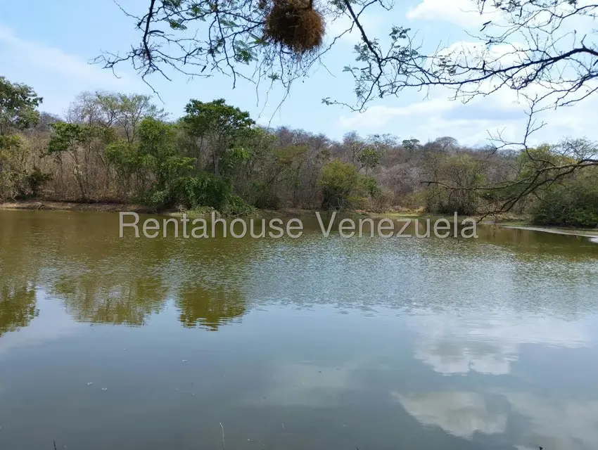 Comercio en Venta en Carretera Caracas-Barbacoa, Aragua - 28