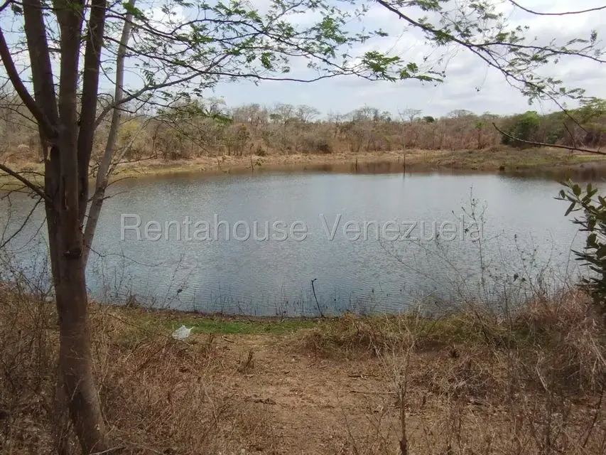 Comercio en Venta en Carretera Caracas-Barbacoa, Aragua - 29