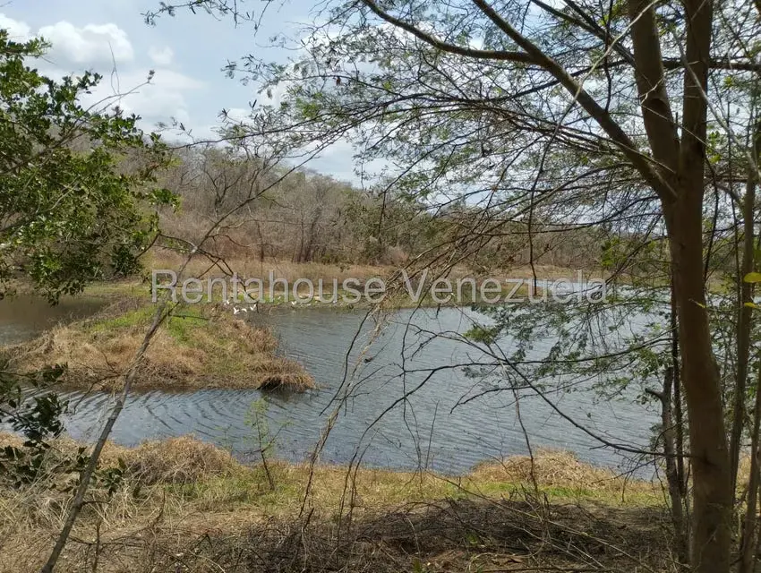 Comercio en Venta en Carretera Caracas-Barbacoa, Aragua - 30