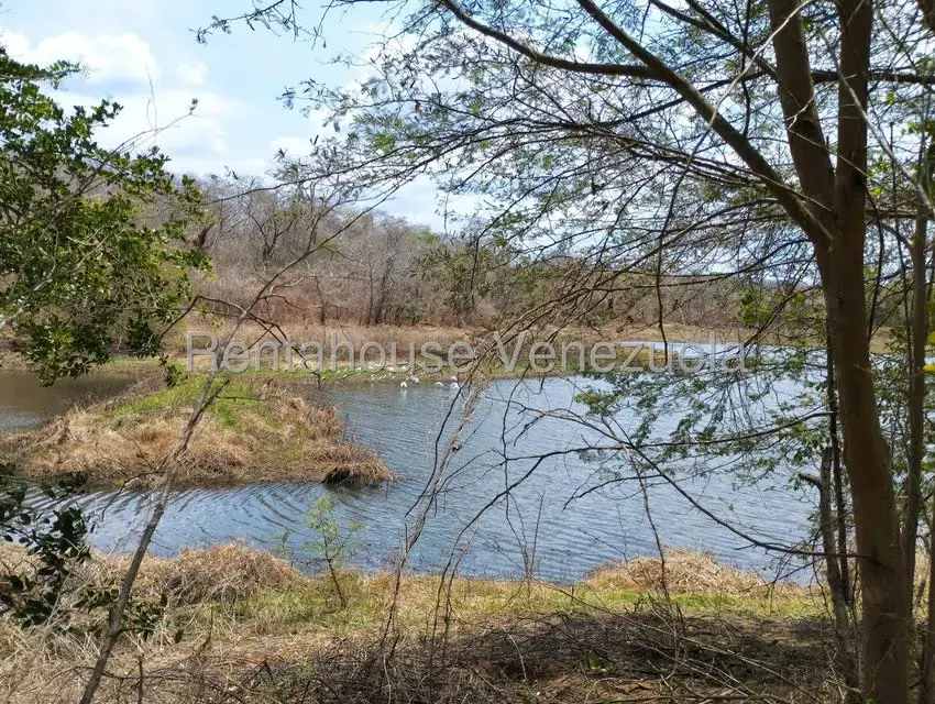 Comercio en Venta en Carretera Caracas-Barbacoa, Aragua - 31