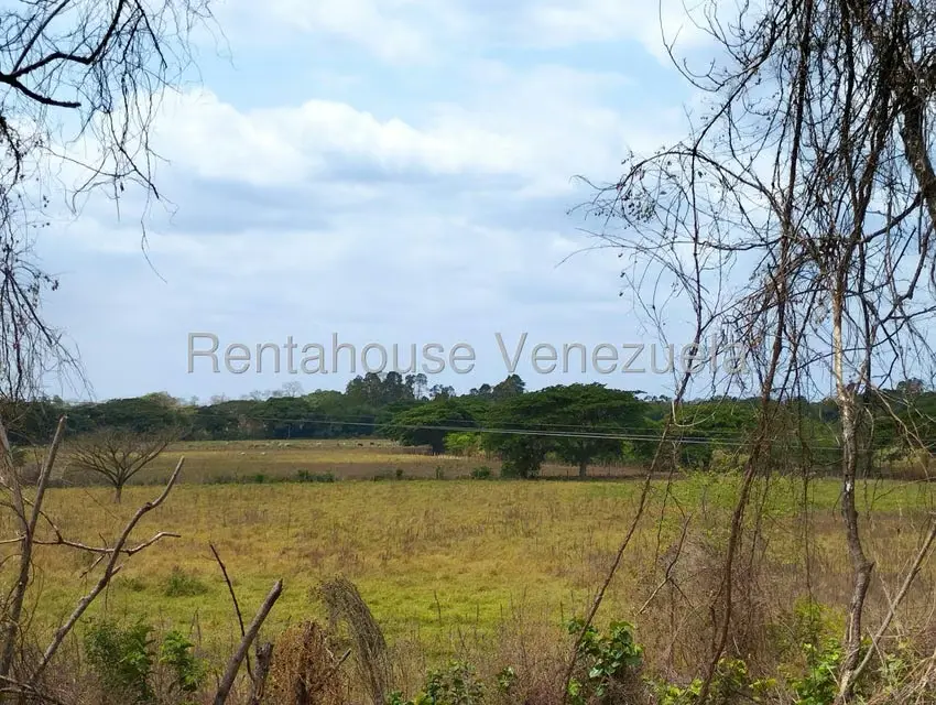 Comercio en Venta en Carretera Caracas-Barbacoa, Aragua - 32