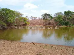 Vista 33