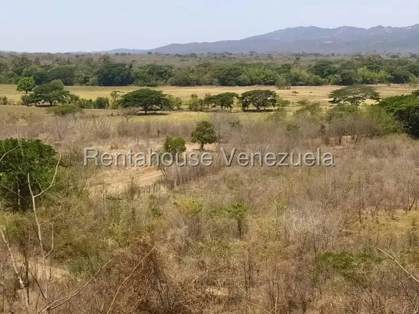 Comercio en Venta en Carretera Caracas-Barbacoa, Aragua - 36